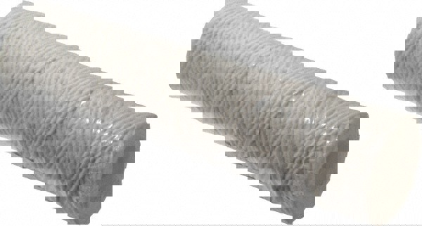 Plumbing Cartridge Filter: 2-1/2